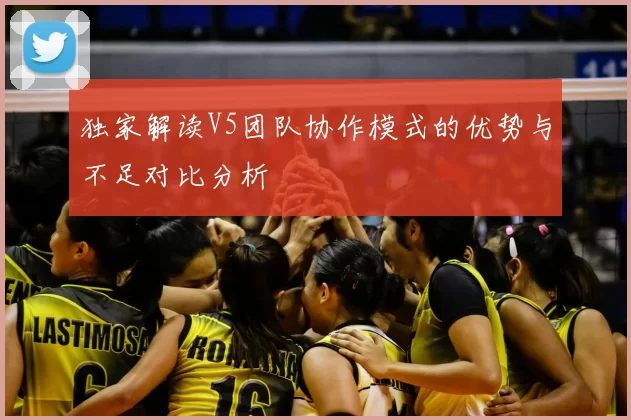 独家解读V5团队协作模式的优势与不足对比分析