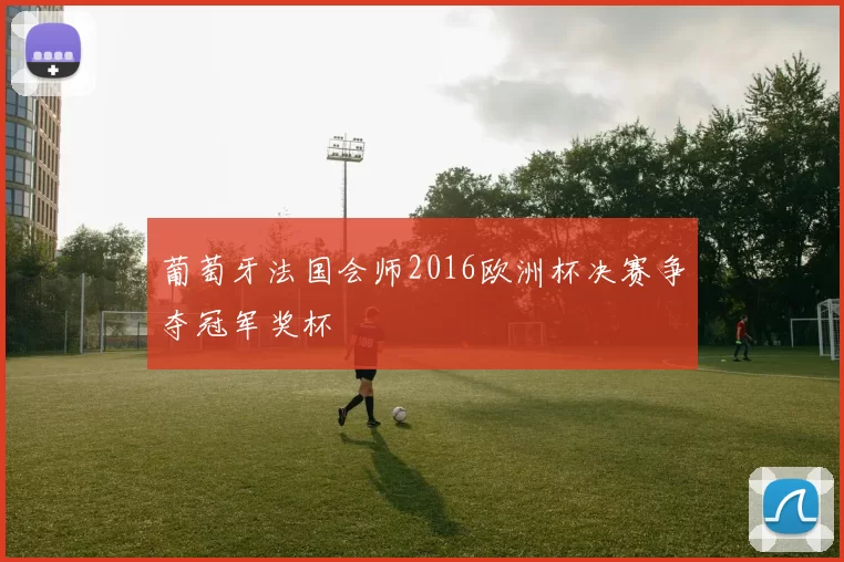 葡萄牙法国会师2016欧洲杯决赛争夺冠军奖杯