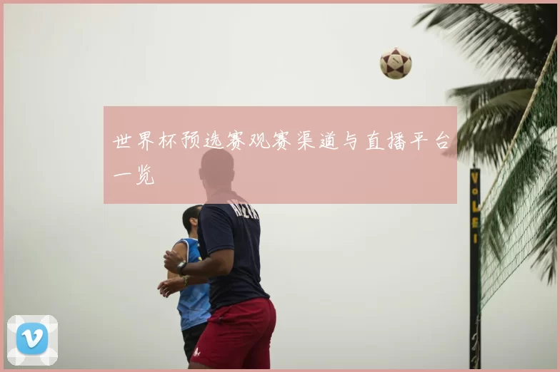 世界杯预选赛观赛渠道与直播平台一览