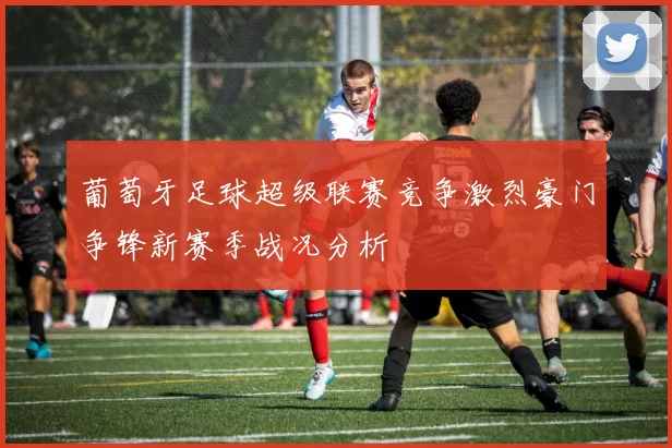 葡萄牙足球超级联赛竞争激烈豪门争锋新赛季战况分析