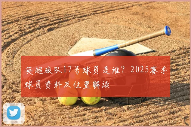 英超狼队17号球员是谁?2025赛季球员资料及位置解读