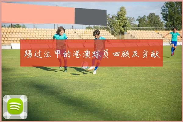 踢过法甲的港澳球员回顾及贡献