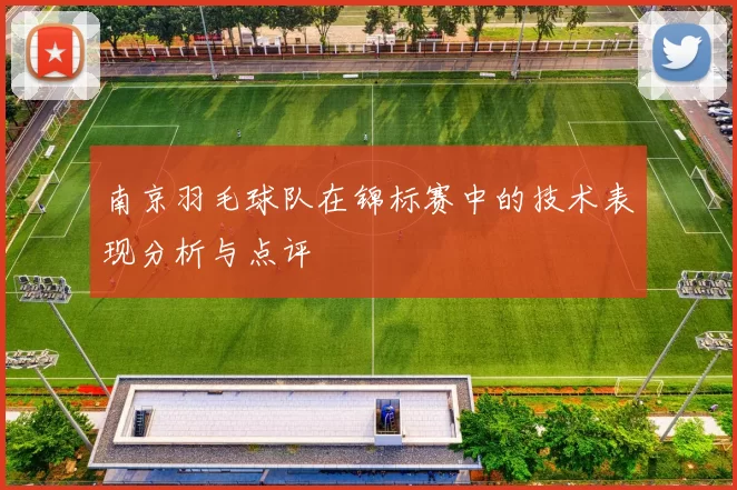 南京羽毛球队在锦标赛中的技术表现分析与点评