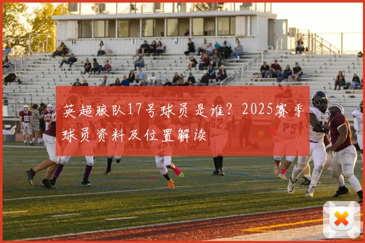 英超狼队17号球员是谁？2025赛季球员资料及位置解读