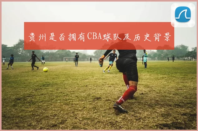 贵州是否拥有CBA球队及历史背景