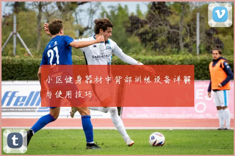 小区健身器材中背部训练设备详解与使用技巧