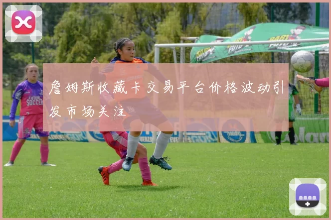 詹姆斯收藏卡交易平台价格波动引发市场关注