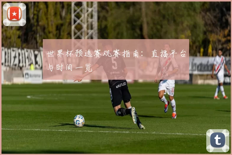 世界杯预选赛观赛指南：直播平台与时间一览
