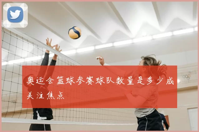 奥运会篮球参赛球队数量是多少成关注焦点