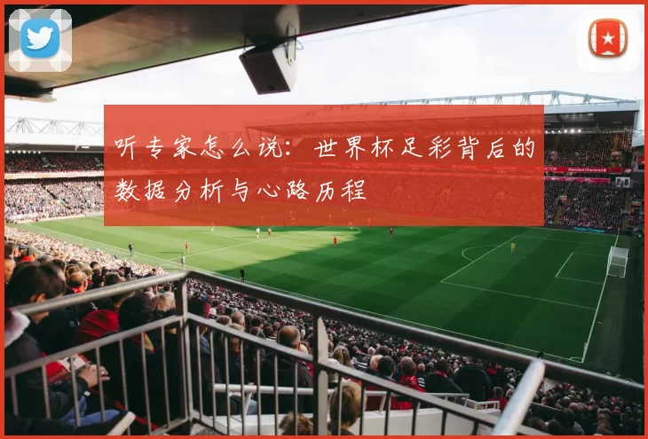 听专家怎么说：世界杯足彩背后的数据分析与心路历程
