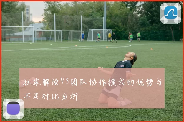 独家解读V5团队协作模式的优势与不足对比分析